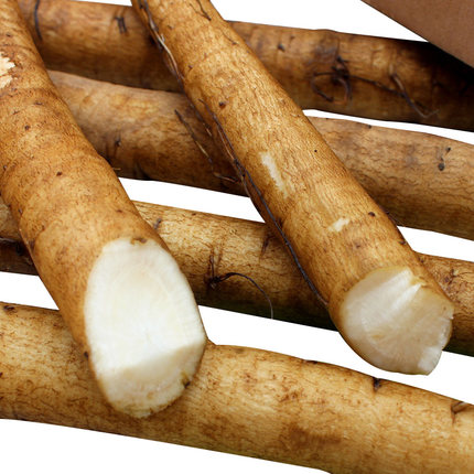 1001 burdock root.jpg