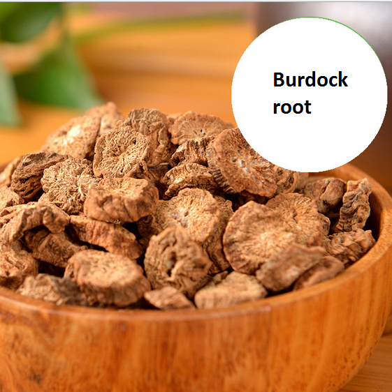 burdock root 7.png