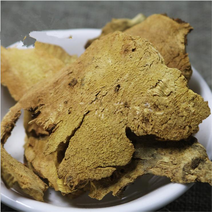 1094 nettle root (5)(1)(1).jpg