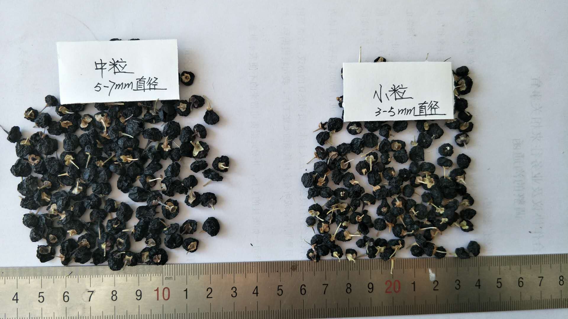 black goji berry-middle and small size.jpg