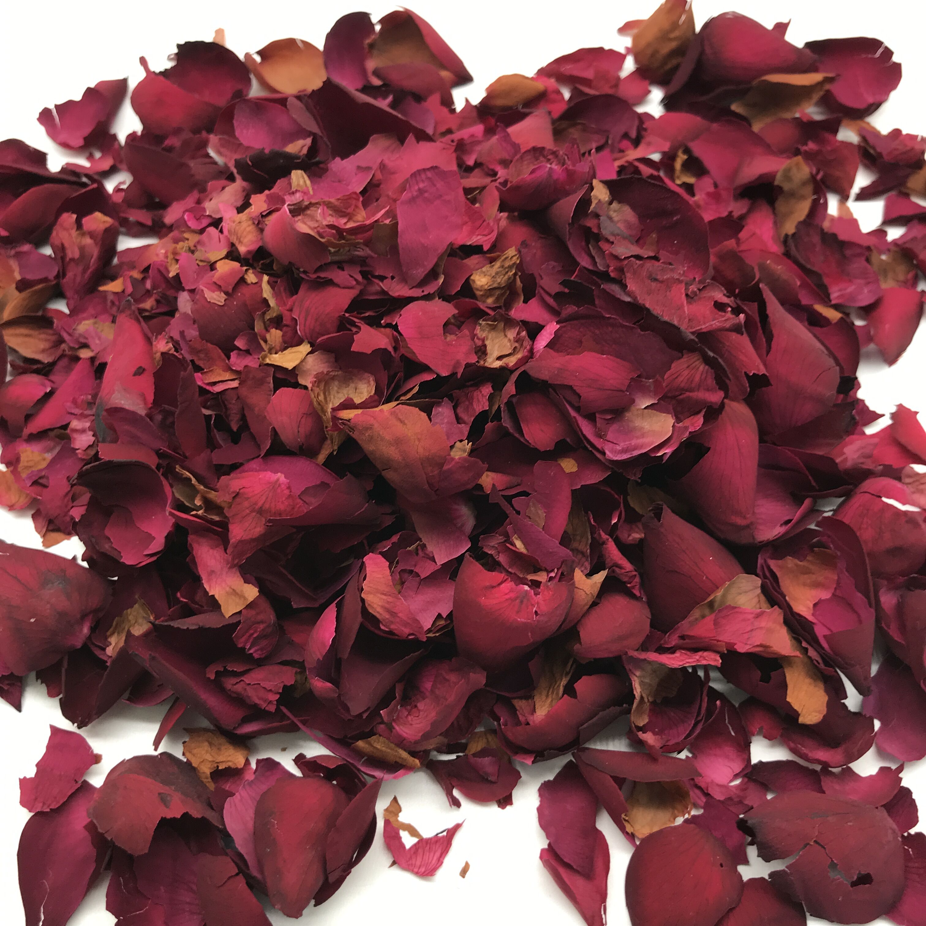 4016 Rosa chinensis petals (8).jpg