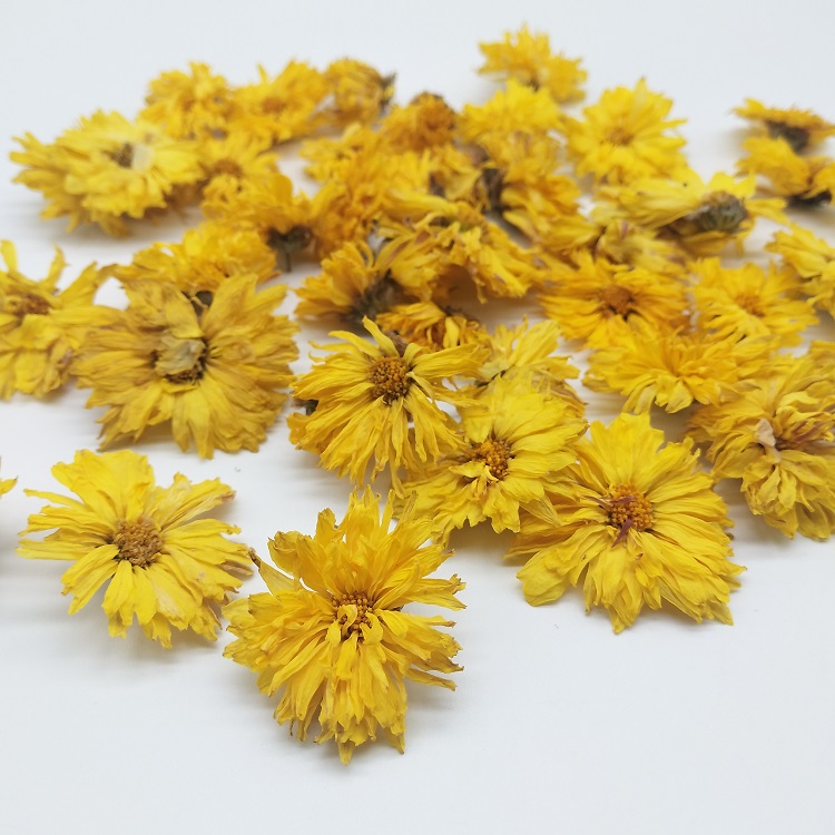 Dried chrysanthemum (7).jpg