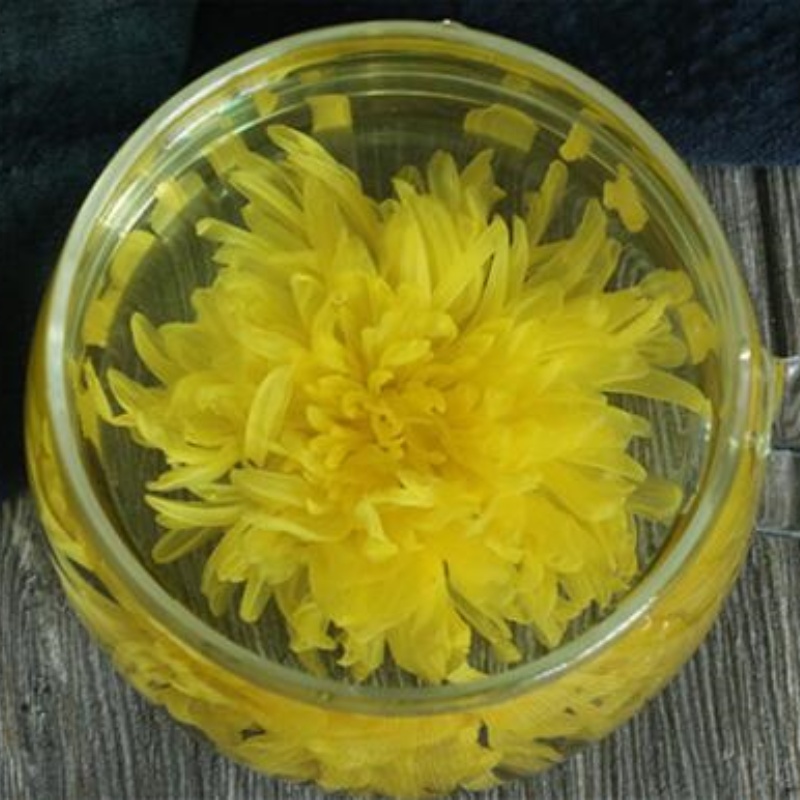 4024 goldchrysanthemum (8)_副本.jpg