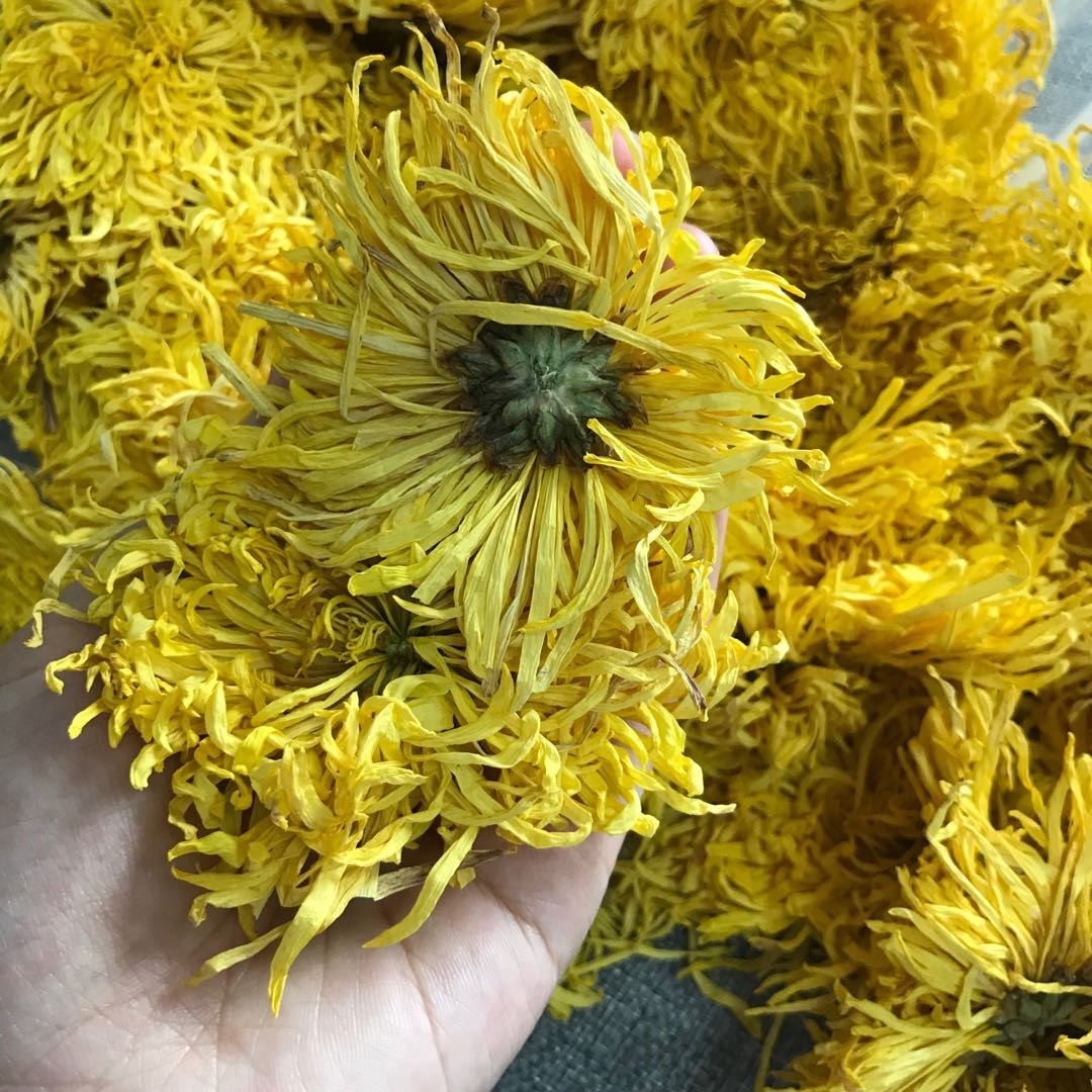 4024 gold chrysanthemum (12).jpg