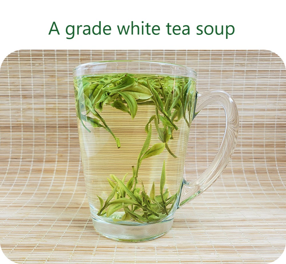 LT04 White Tea (17).jpg