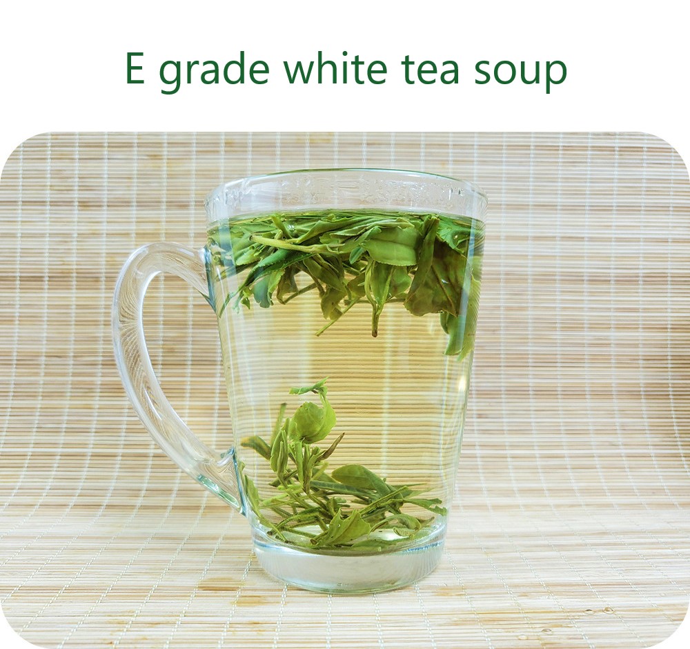 LT04 White Tea (5).jpg