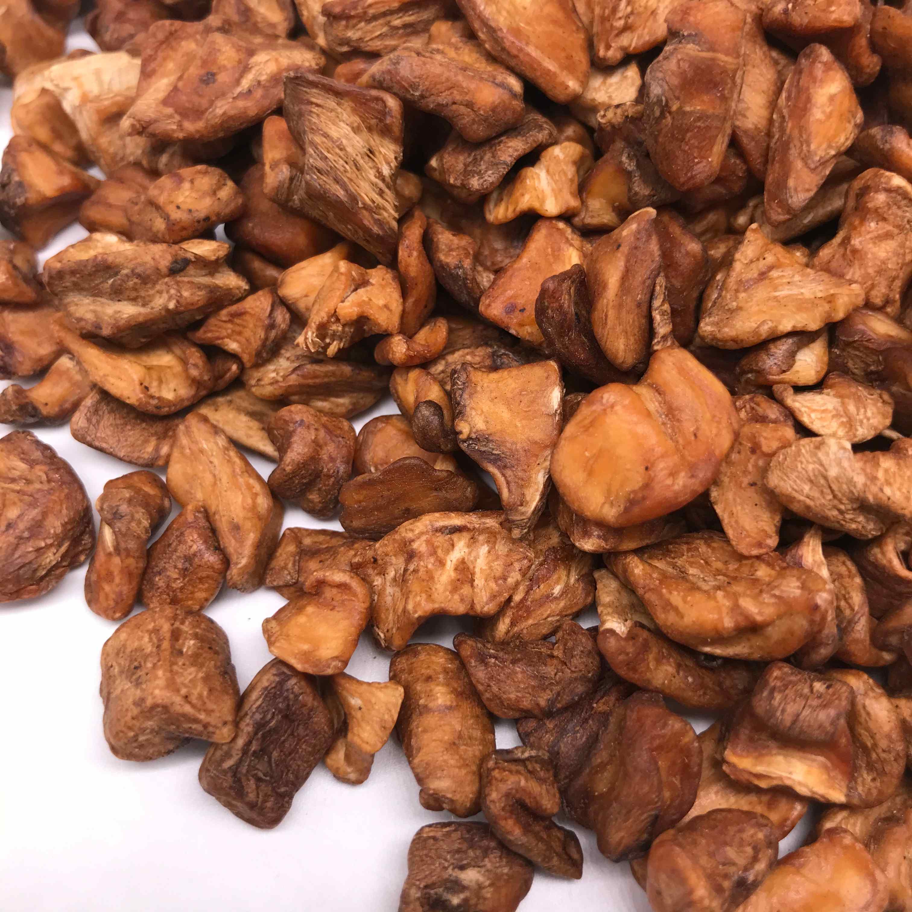 L002 chicory root (5).JPG