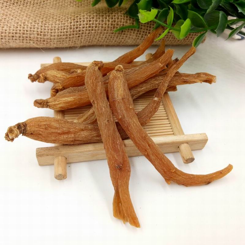 1011red ginseng root (1).jpg