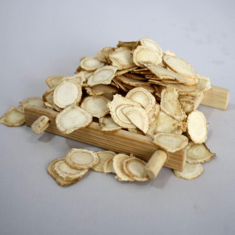1012 American ginseng (6).JPG
