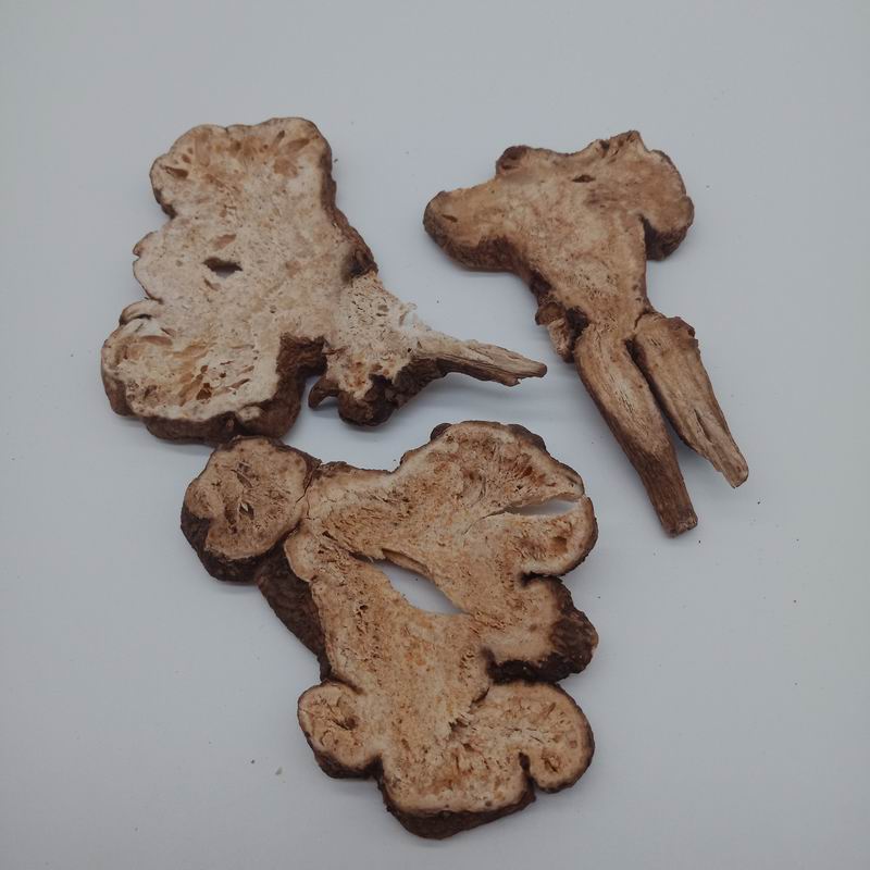 1032 bighead atractylodes rhizome (4).jpg