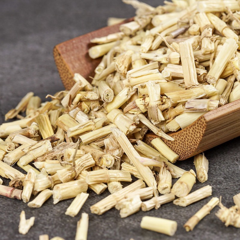 1040 Cogongrass Rhizome (3).jpg
