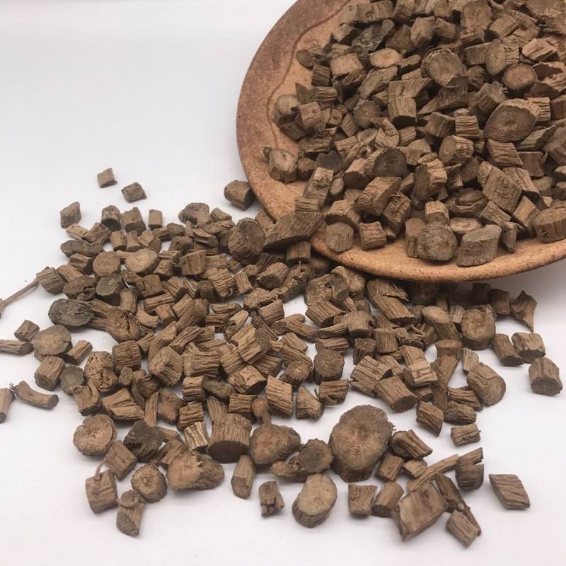 Radix cyathulae (6).jpg Radix cyathulae (6).jpg