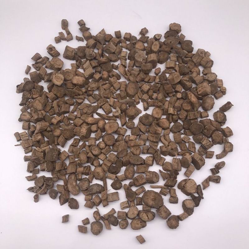 Radix cyathulae (1).jpg Radix cyathulae (1).jpg