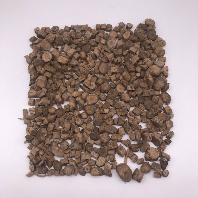 Radix cyathulae (3).jpg Radix cyathulae (3).jpg