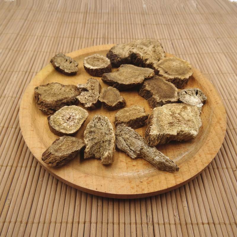 Aplotaxis auriculata (7).jpg