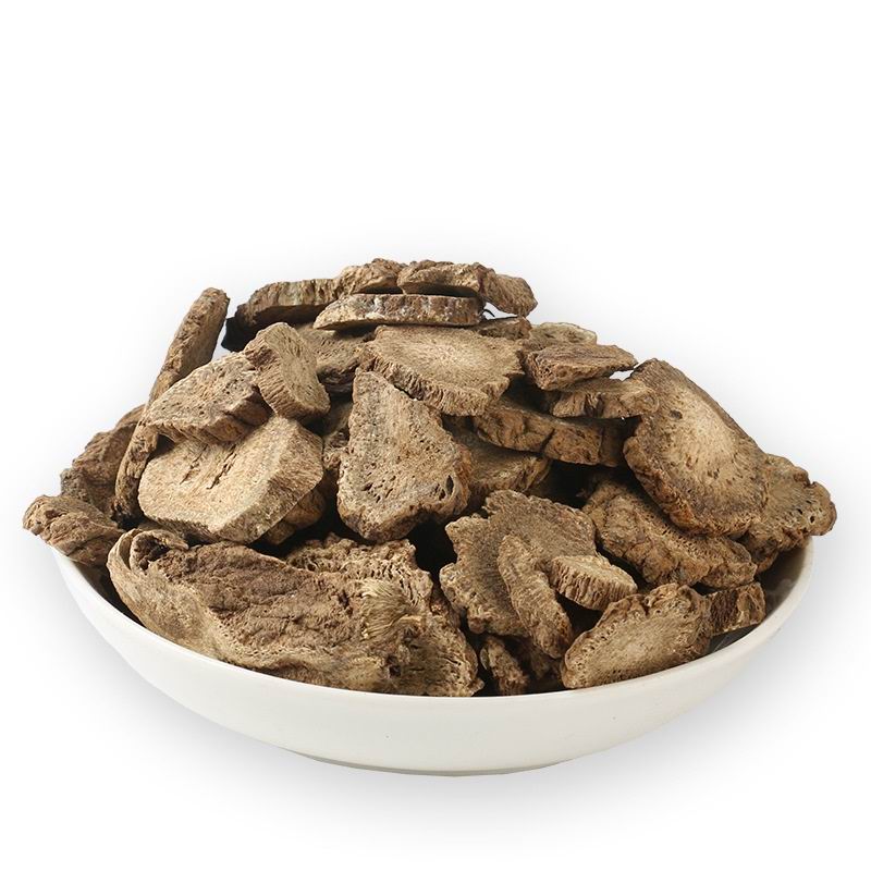 Aplotaxis auriculata  (7).jpg