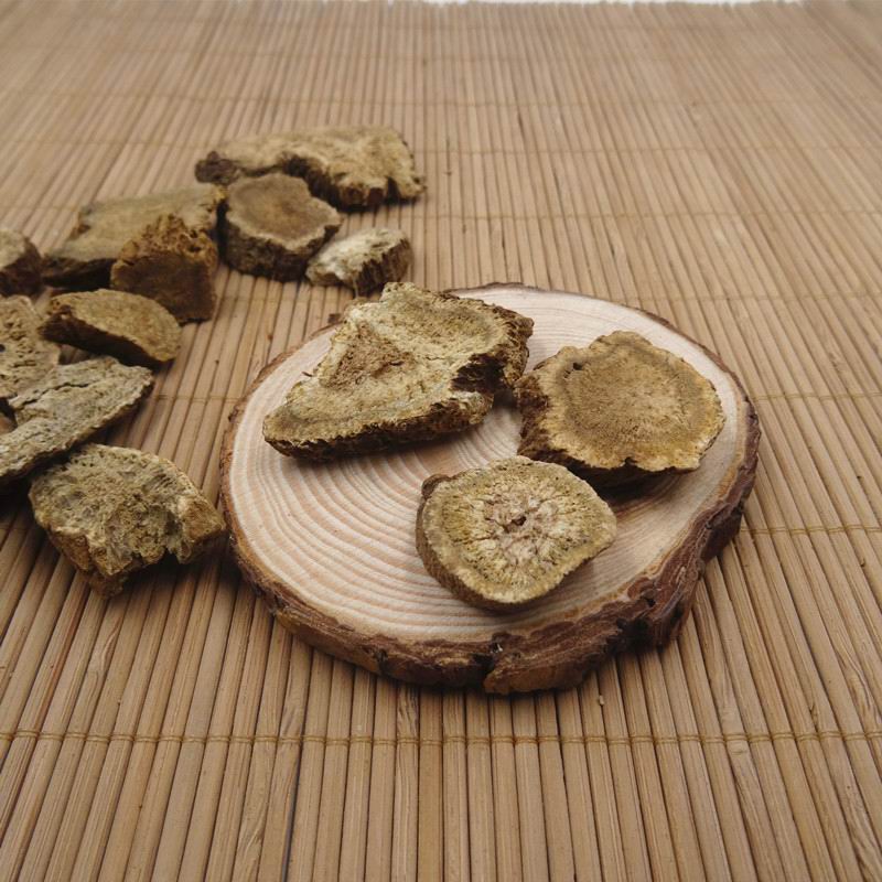 Aplotaxis auriculata (2).jpg