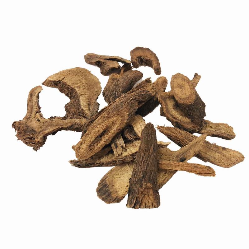 1054 Radix Vladimiriae (2).jpg