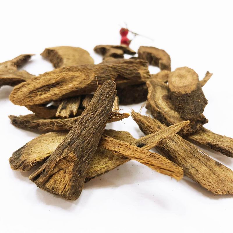 1054 Radix Vladimiriae (3).jpg