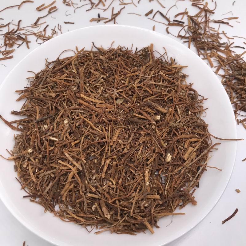 1063 Gentiana scabra bge (7).JPG