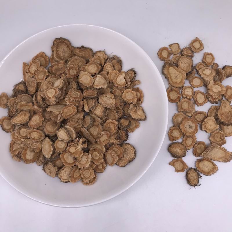 1068 Radices sileris  (5).JPG