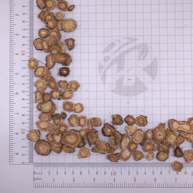 1068 Radices sileris  (2).JPG