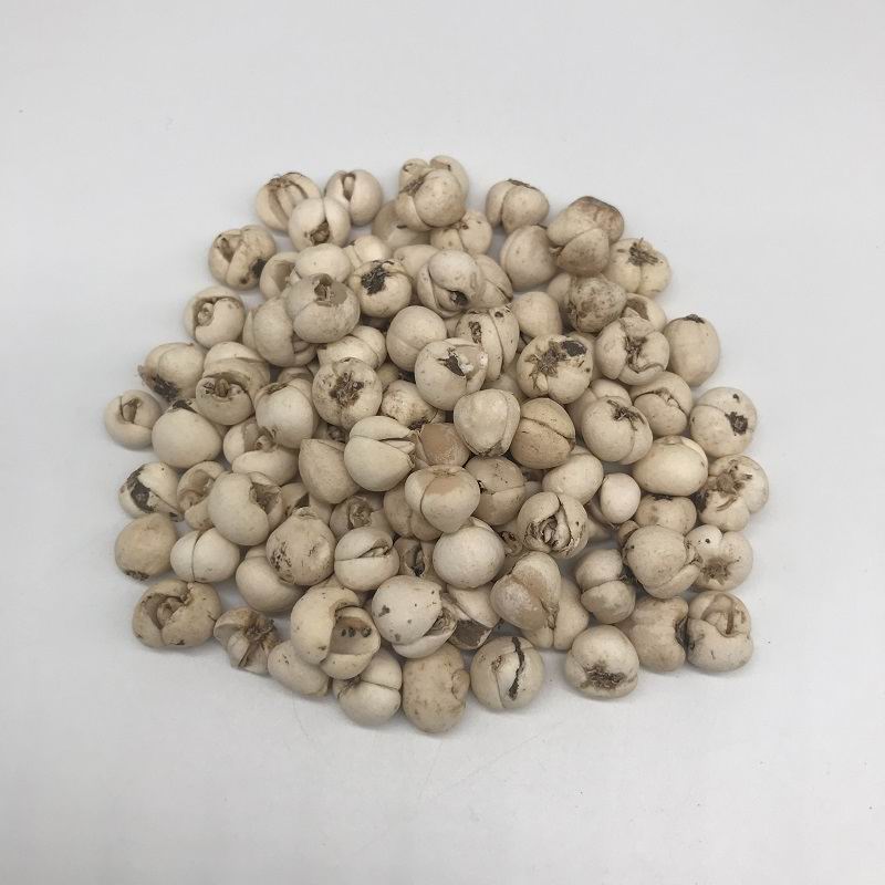 1087 fritillary bulb (3).jpg