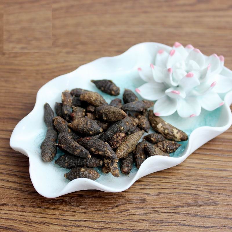 1089 radix aconiti carmichaeli (11).jpg 1089 radix aconiti carmichaeli (11).jpg