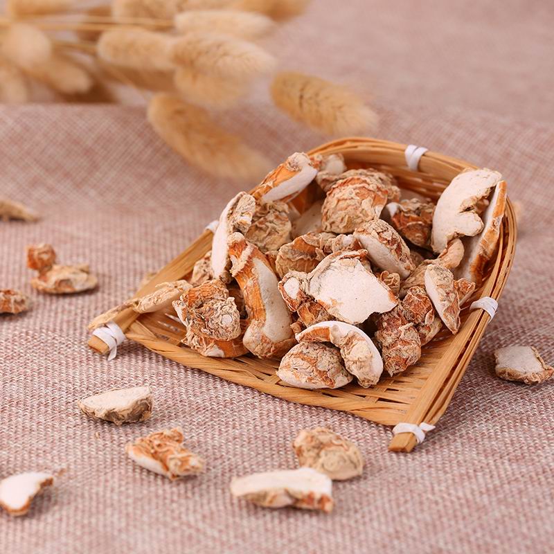 1093 Rhizoma Kaempferiae (3).jpg 1093 Rhizoma Kaempferiae (3).jpg