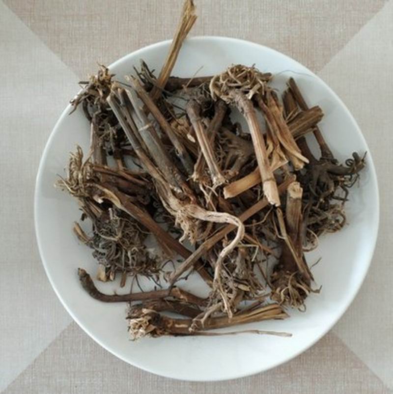 1101 Echinacea Root (24).jpg