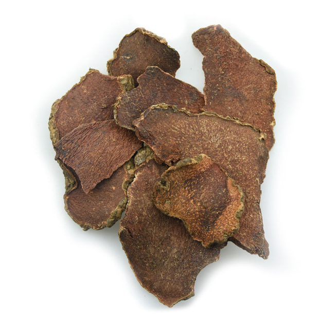 1129 girald pteroxygonum root (10).jpg 1129 girald pteroxygonum root (10).jpg