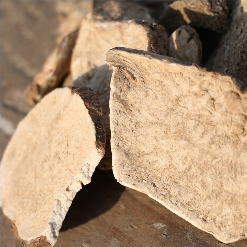 1109Trichosanthes Palmata (3).jpg 1109Trichosanthes Palmata (3).jpg