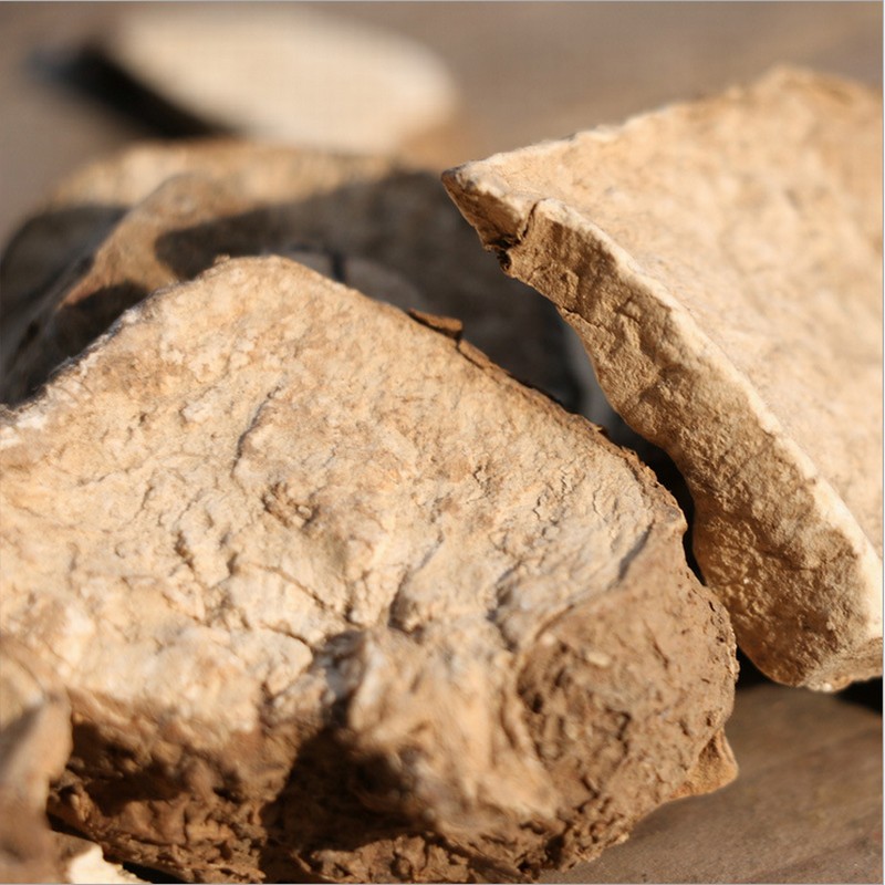 1109Trichosanthes Palmata (4).jpg 1109Trichosanthes Palmata (4).jpg