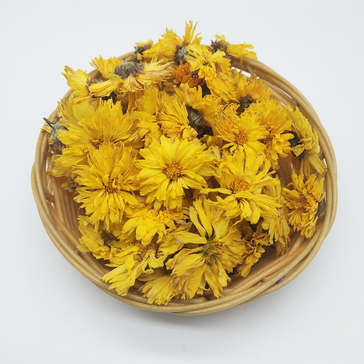 Golden chrysanthemum