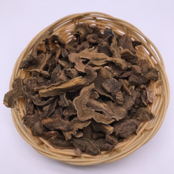 Rheum officinale