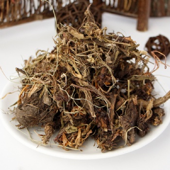 spikenard root