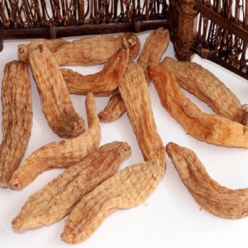Rhizoma Gastrodiae