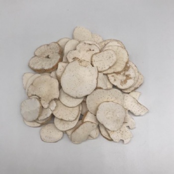 Radix Trichosanthis Slice