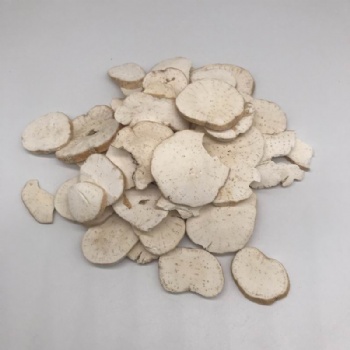 Radix Trichosanthis Slice