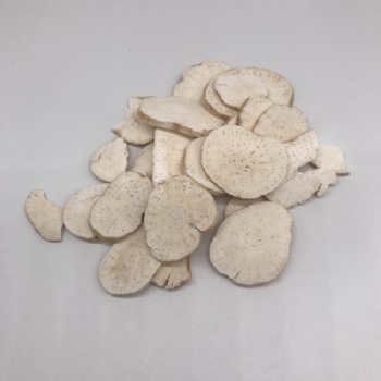 Radix Trichosanthis Slice