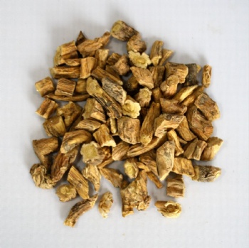 Gentiana Macrophylla