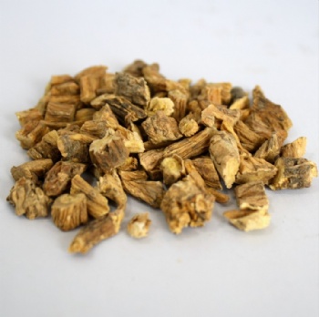 Gentiana Macrophylla