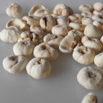 Bulbus Fritillariae Ussuriensis