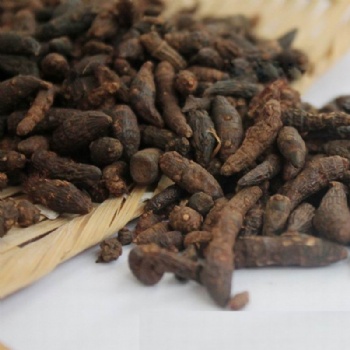 Prepared Aconite Root