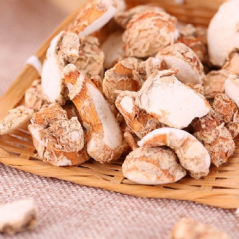 Kaempferiae Galangal