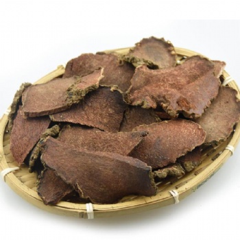 Girald Pteroxygonum Root