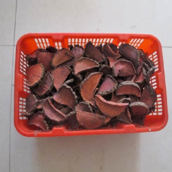 Girald Pteroxygonum Root