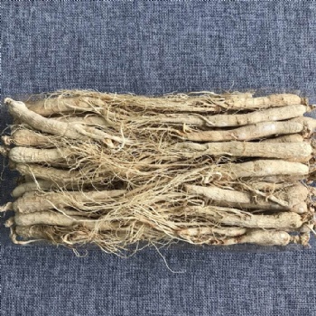 Ginseng Root