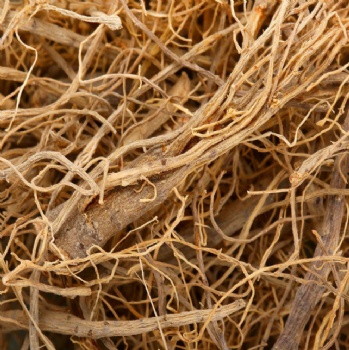 Notoginseng Tail