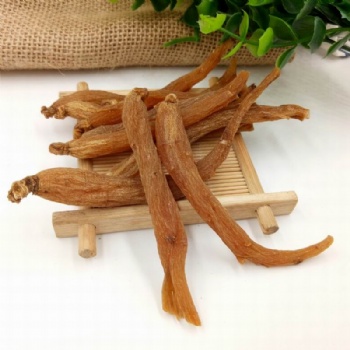 Red Ginseng Root